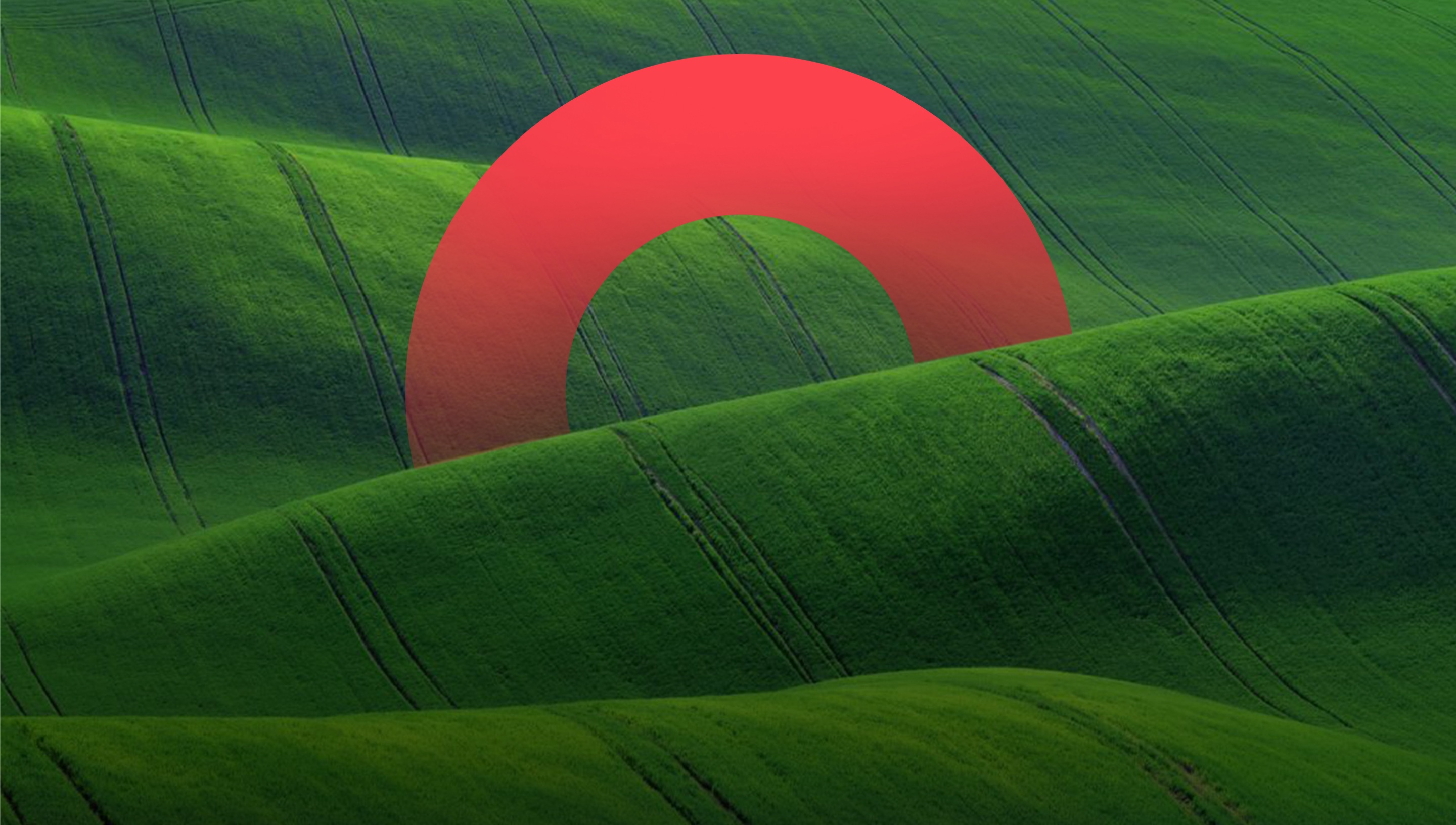 Rolling green hills with a red circle