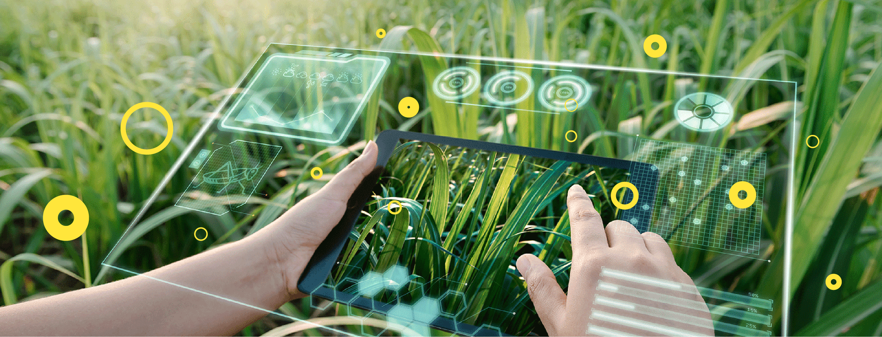 Tablet pointed at a plant, using augmented reality to show relevant data.