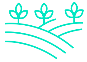 Icon 1