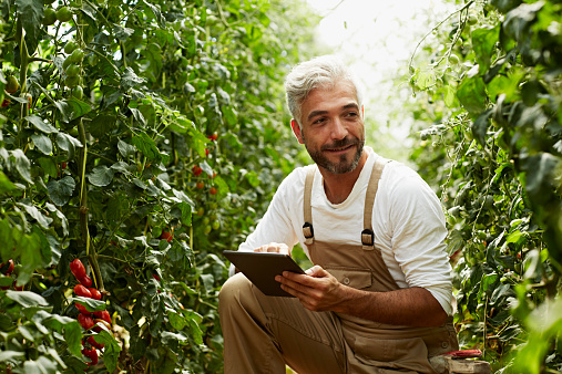 Agri Business Promo