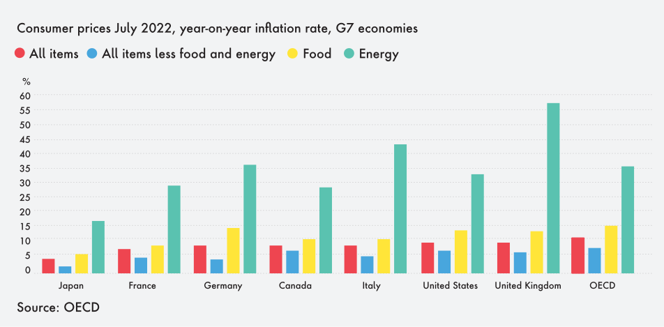 https://www.publicissapient.com/content/dam/ps-rebrand/insights/2022/how-consumer-products-companies-can-survive-and-thrive-during-an-inflationary-economic-cycle/chart2.png