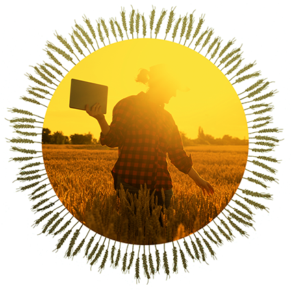 farmer with digital device in crop field