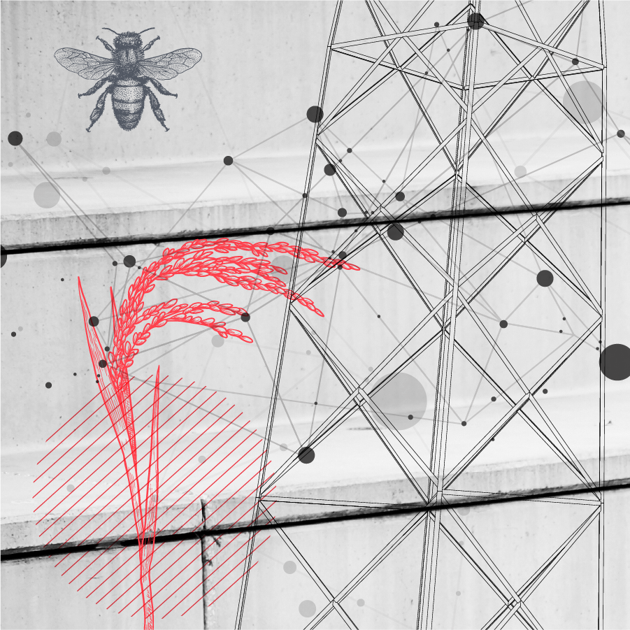bee and crop stalk next to transmission tower