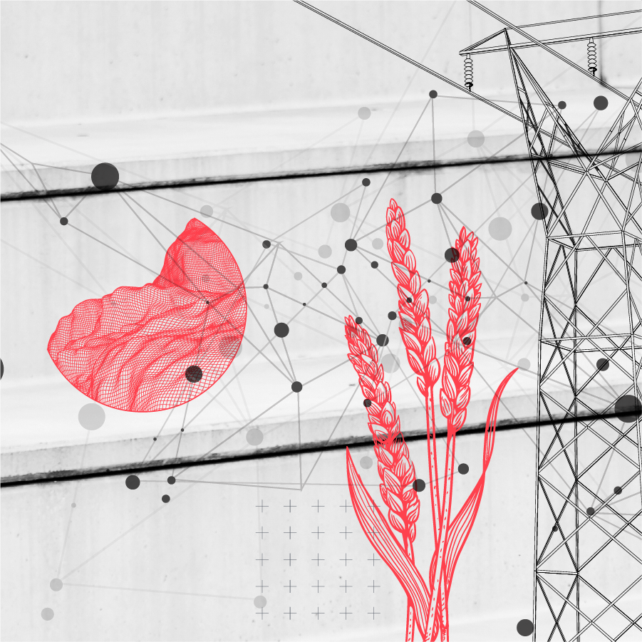 crop stalk next to transmission tower