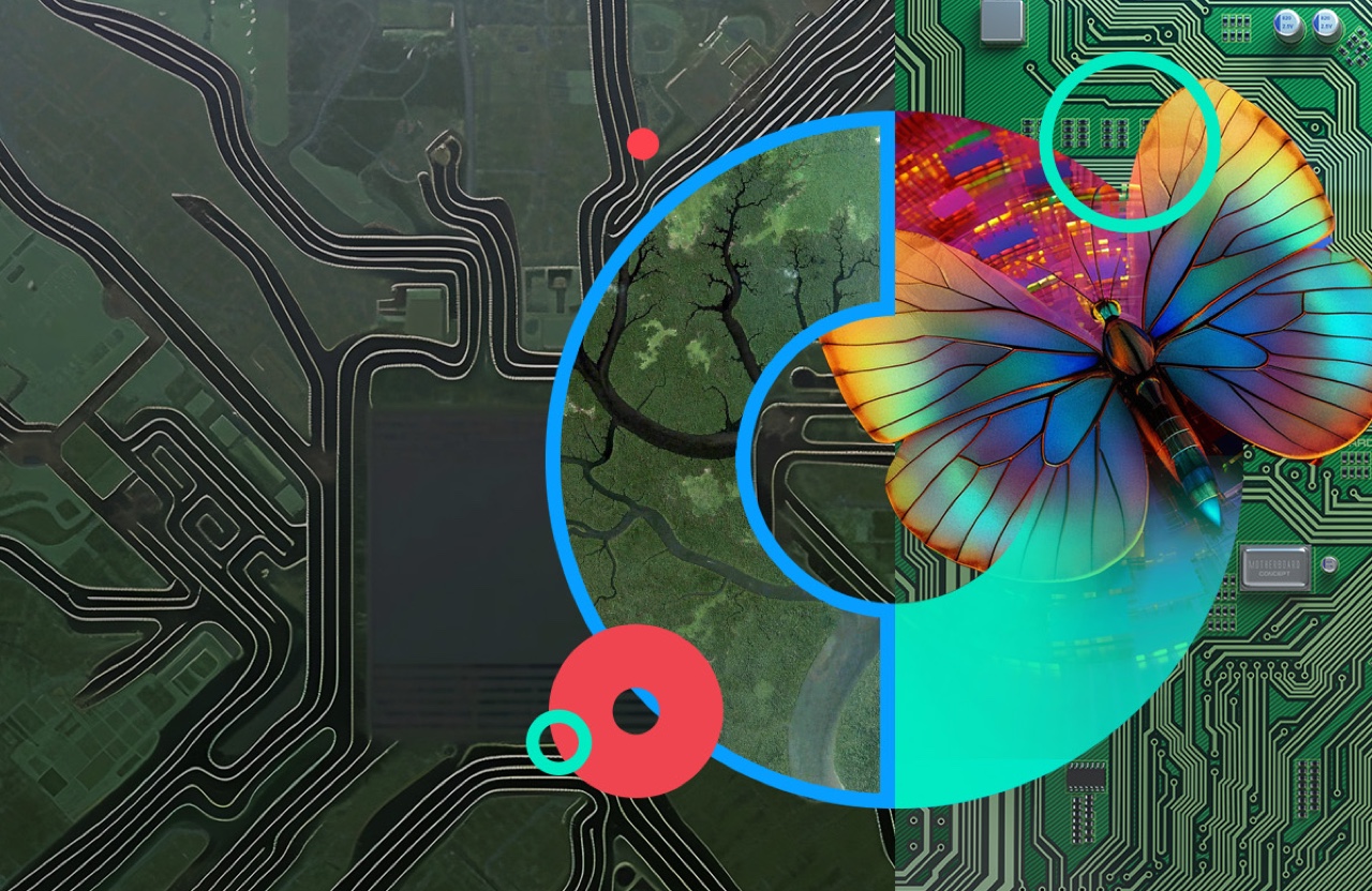 butterfly representing digital transformation
