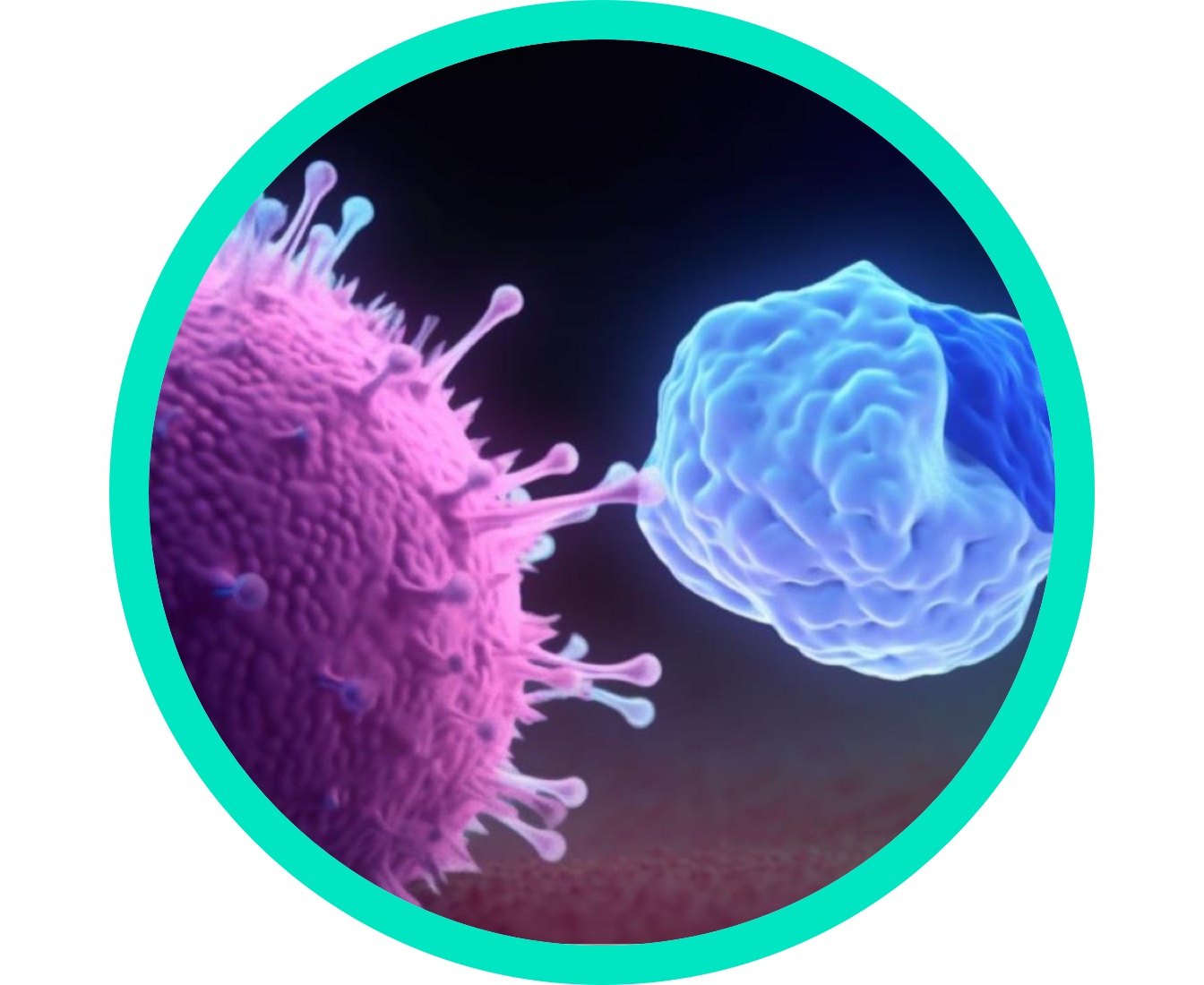 A pink dendritic cell communicating with a blue T-cell