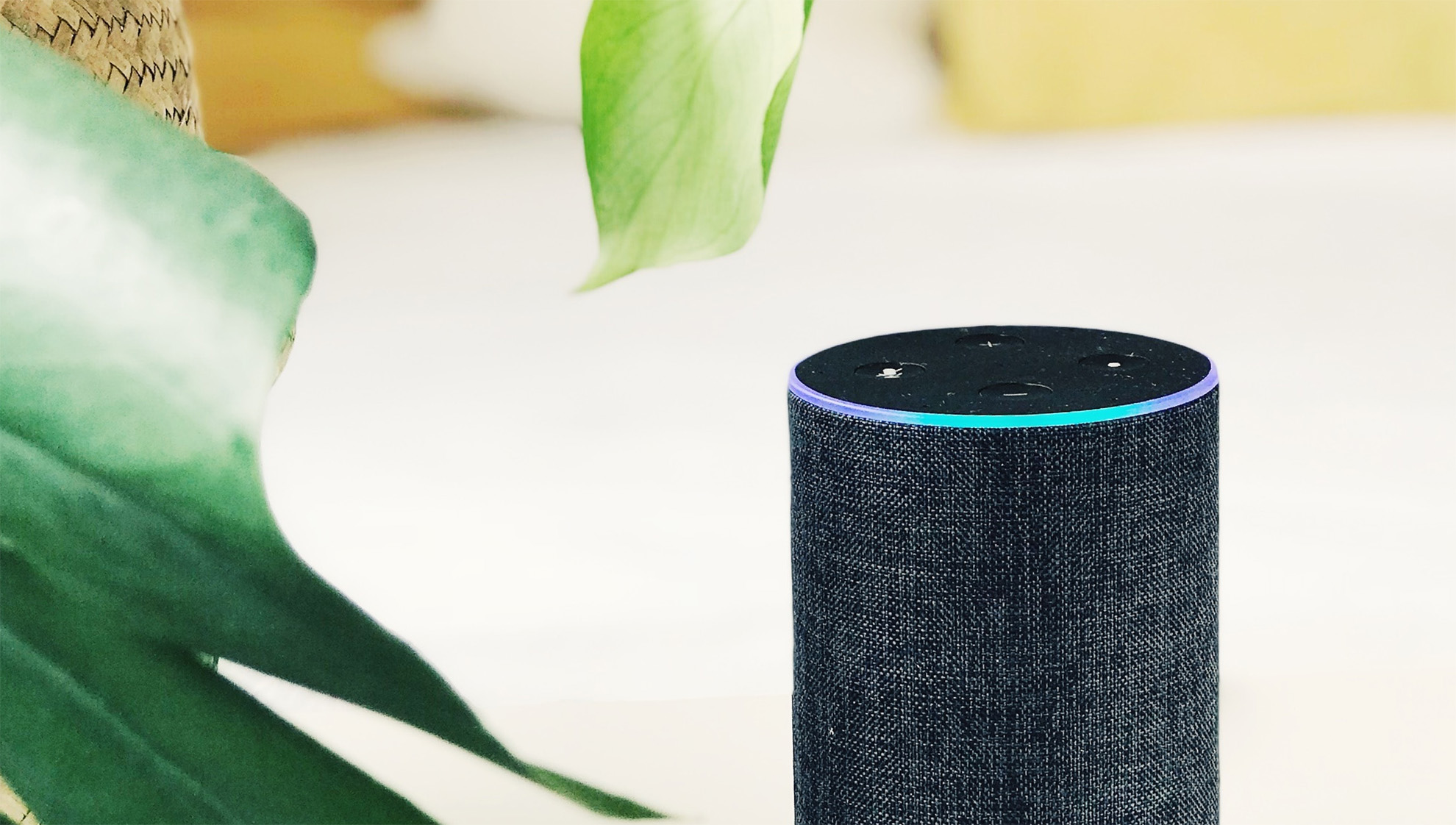 Alexa, How Can Retailers Compete?