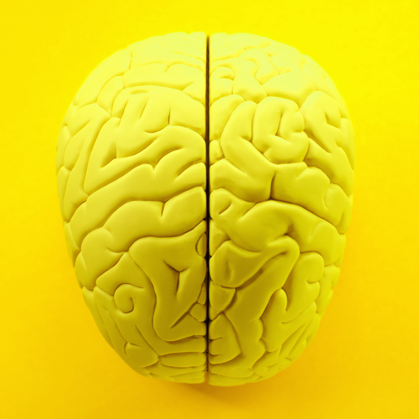 Yellow brain 
