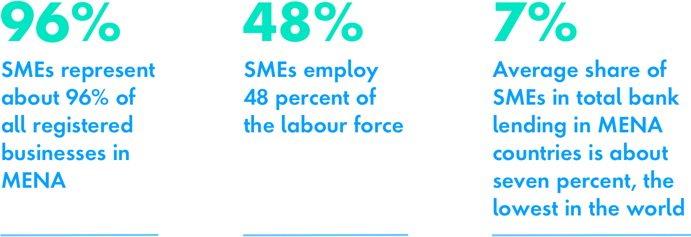 Text graphic with stats on small to medium size enterprise businesses in MENA