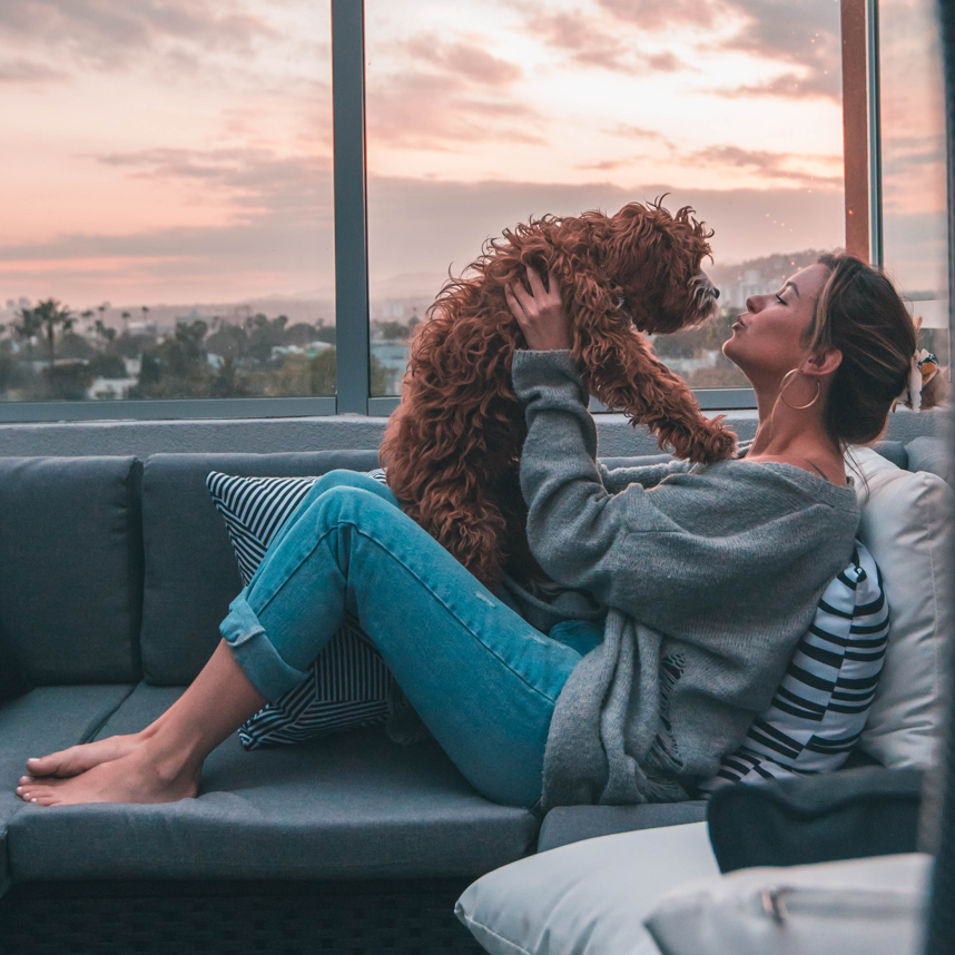 Person holding a dog