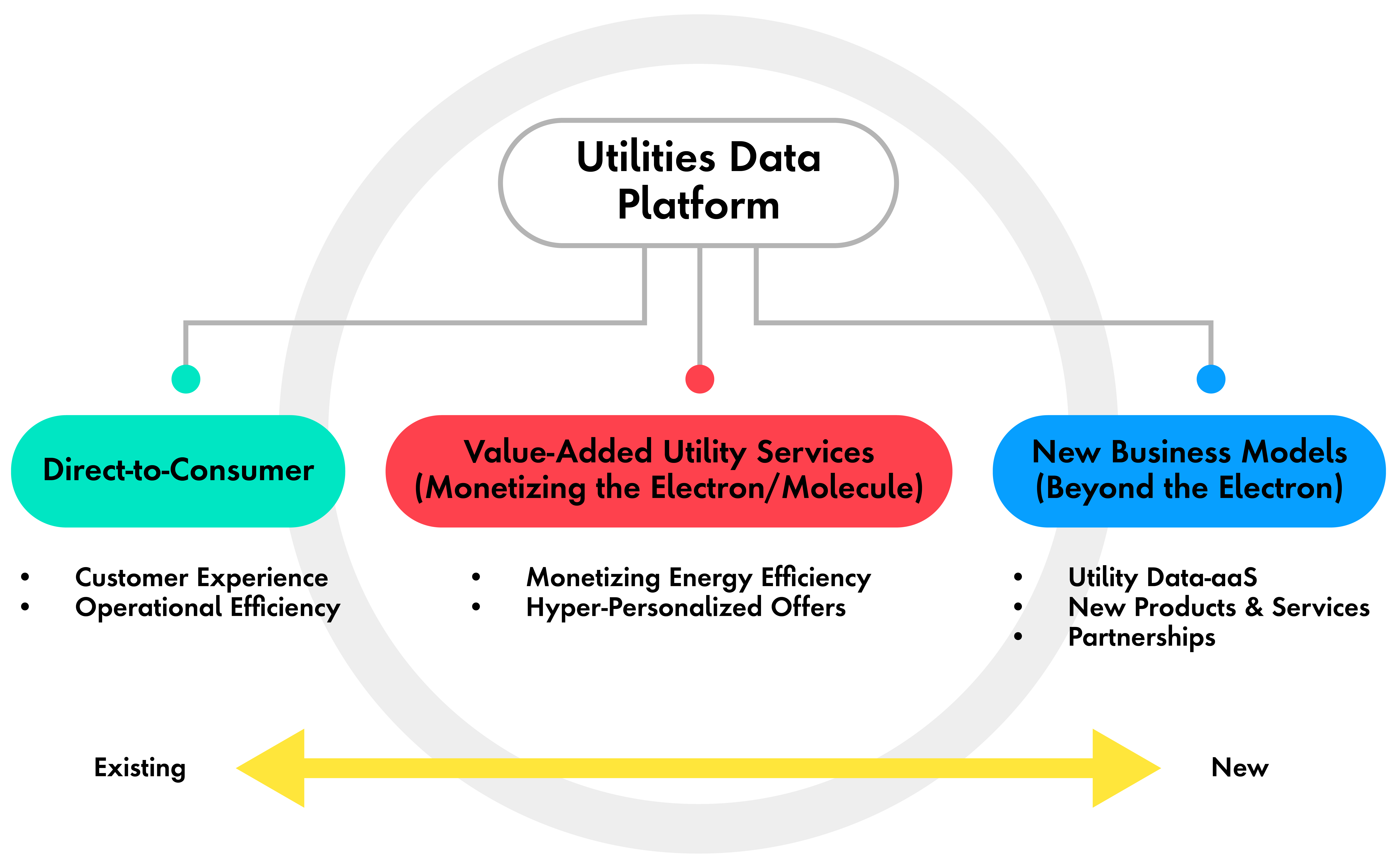 utilities data platform enables customer service, monetization and new models