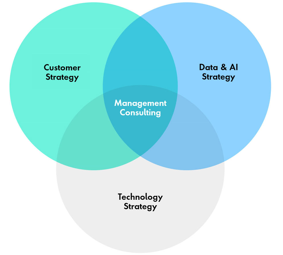 Customer Experience, Strategy & Consulting and Technology & Engineering overlap with Digital Business Transformation at the center.