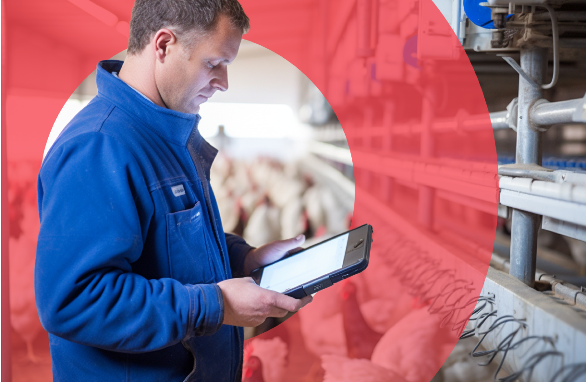 A man looks at a tablet in his hand during work hours in a farm.