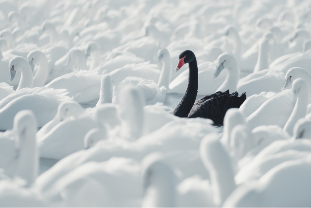 Supply Chain Risk Management