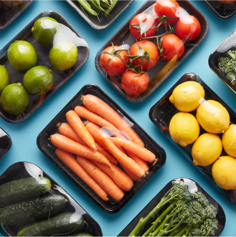 Pictured is a product glam shot of various vegetable ingredients arrange in rows.